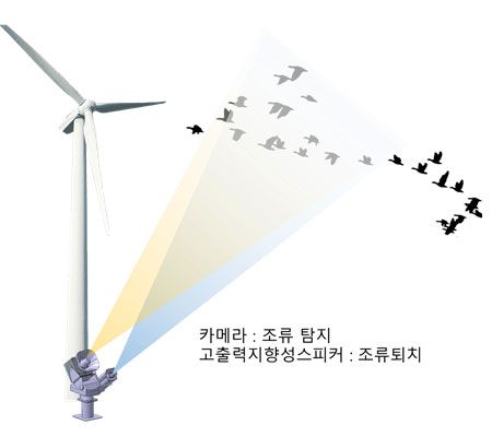 bird_strike